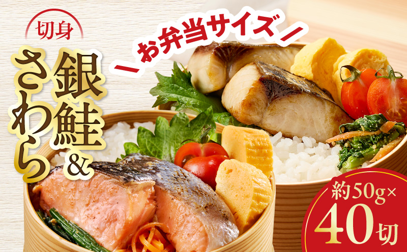 【お弁当サイズ】さわら&銀鮭 切身 計40切れ（各約50g×20切れ） 【小分け 漁師 さけ サケ 手切り  泉州 鰆 切り身 弁当 朝食 時短 訳あり サイズ不揃い 規格外 冷凍食品  大阪 泉佐野 大阪府 泉佐野市】