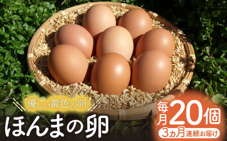 【全3回定期便】平飼いニワトリの有精卵！ほんまの卵定期便 計60個（20個×3回） / 佐賀県 / 本間農園 [41AJAA019]