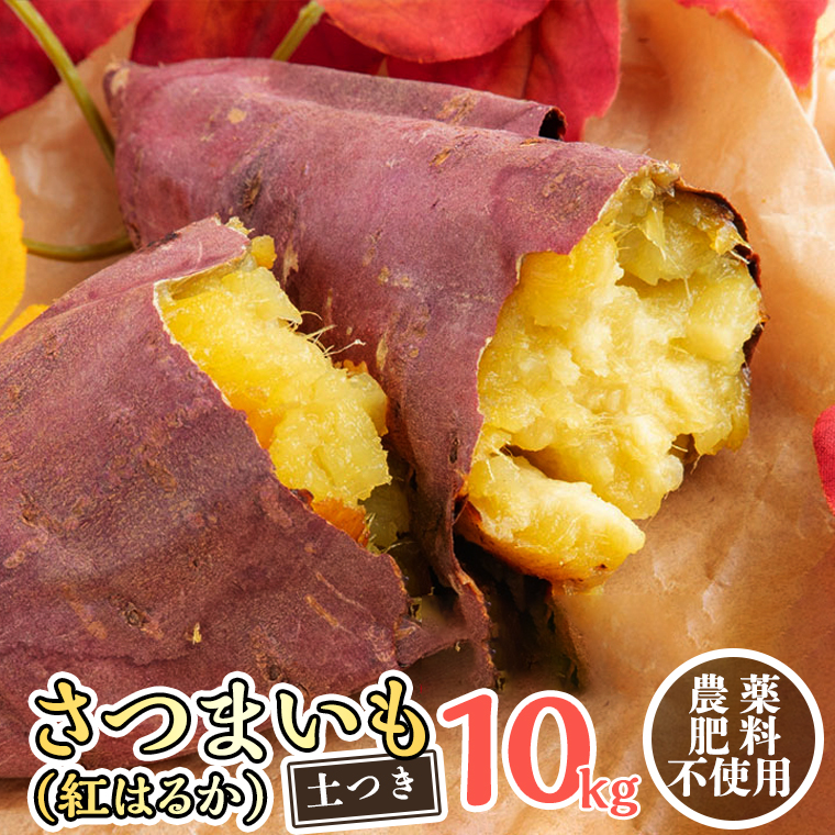 さつまいも ( 紅はるか ） 10kg 【 栽培期間中 / 農薬・肥料不使用 】土つき 高糖度 肥料不使用 自然栽培 スイーツ 焼き芋 天ぷら スイートポテト 秋 べにはるか 食物繊維