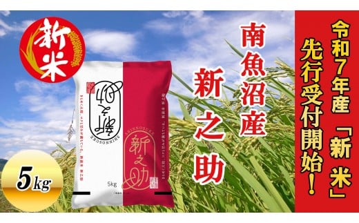 【令和7年産新米先行予約】南魚沼産新之助5kg【2025年10月下旬より順次発送予定】