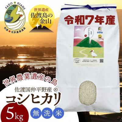 ふるさと納税 佐渡市 数量限定・生産地域限定【令和7年産】新潟県佐渡国仲平野産コシヒカリ　精米(無洗米)5kg