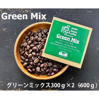 ふるさと納税 下呂市 緑の館 / グリーンミックス豆 300g×2(600g)【17-96】