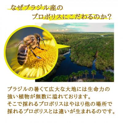 ふるさと納税 大牟田市 プロポリスエキス　35cc |  | 01