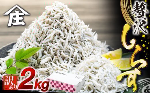 しらす 2kg ( 1kg × 2箱 ) 訳あり 冷凍 ちりめん しらす干し 減塩 釜揚げ ごはん 丼 パスタ チャーハン サラダ 魚 料理 愛知県 南知多町 師崎