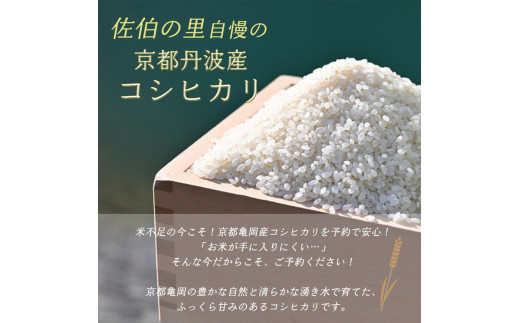 【10月発送】京都産 コシヒカリ2kg ＋ 旬の野菜セット 6回 定期便 京都 佐伯の里 新鮮 野菜 7～10品 コシヒカリ2kg 米 定期便 6ヶ月 京都丹波・亀岡産 季節の野菜 詰め合わせ 訳あり