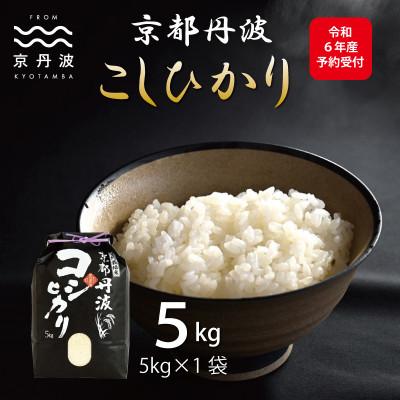 ふるさと納税 京丹波町 京丹波こしひかり 5kg 令和7年産 京都 精米 コシヒカリ