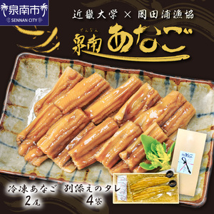 近畿大学×岡田浦漁協『泉南あなご』煮込（伝助アナゴ）2尾入り！【058D-005】