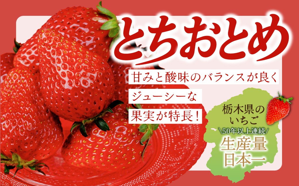  いちご イチゴ 苺  とちおとめ ストロベリー  いちご イチゴ 苺  とちおとめ ストロベリー