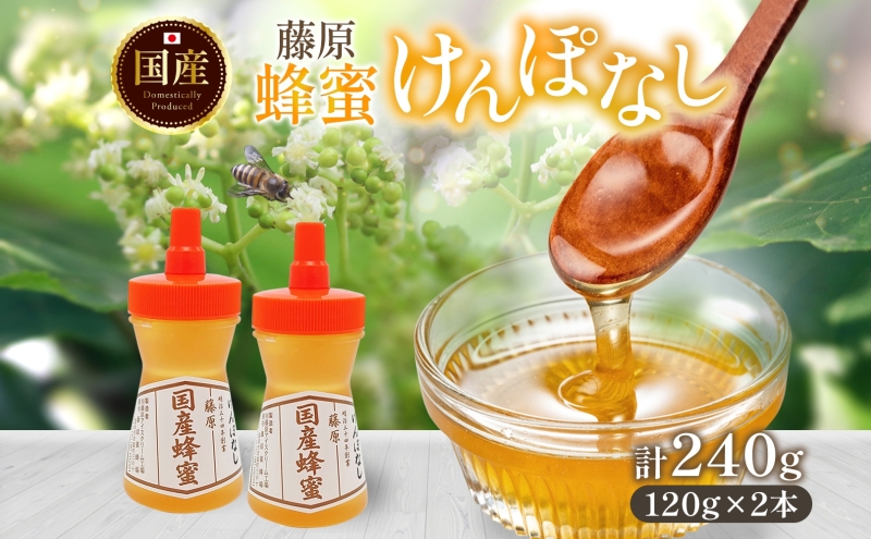 藤原国産蜂蜜 けんぽなし 計240g はちみつ ケンポナシ 玄圃梨 国産 単花蜜 朝しぼり 完熟 ハチミツ パン 菓子 トースト ホットケーキ ヨーグルト 調味料 隠し味 お取り寄せ ポリ容器 常温 常備 送料無料 藤原養蜂場 岩手県 盛岡市