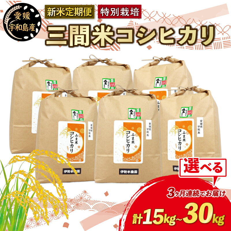 【ふるさと納税】 新米 定期便 3回 計15kg ~ 30kg 先行予約 特別栽培米 三間米 コシヒカリ 5kg or 10kg × 3回 選べる 伊勢本農園 特別栽培 米 お米 おこめ ごはん こめ コメ kome 白米 精米 お弁当 ブランド米 農家直送 産地直送 数量限定 国産 愛媛 宇和島
