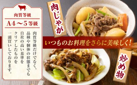 【6回定期便】熊本県産 黒毛和牛 切り落とし 計約1kg (約250g×4P) 小分け 国産 A4 A5 山鹿 【有限会社九州食肉産業】[ZDQ033]