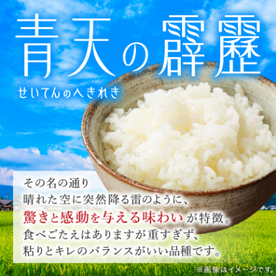 【令和7年産】青森県産　青天の霹靂5kg(精米)