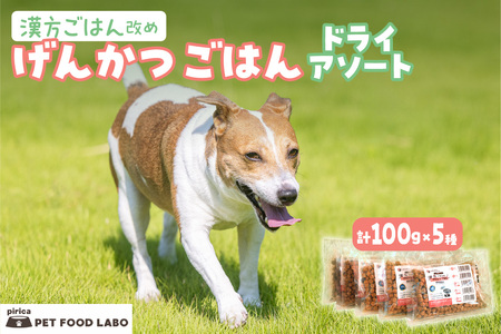 漢方ごはん改めげんかつごはんドライアソート（100g×5種類）