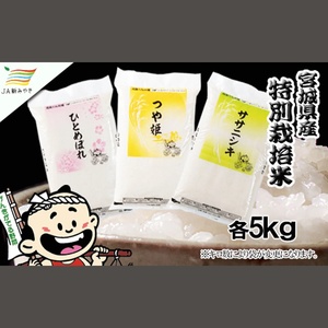 元気くん市場 宮城の美味しいお米贅沢３種食べ比べセット（１） / 精米 小分け 人気 ランキング お米 米 つや姫【mygs011】 