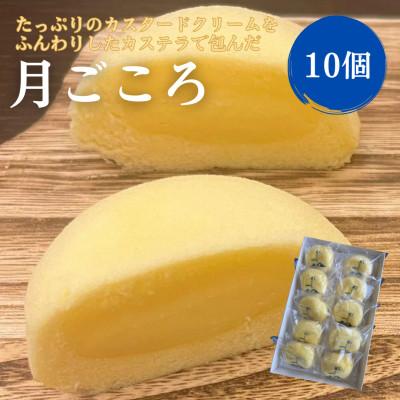 ふるさと納税 小野町 月ごころ10個入り