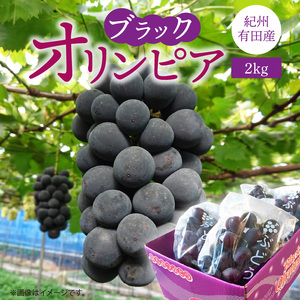  紀州有田産 ブラックオリンピア (ハチミツぶどう) 2kg 【ぶどう ブドウ 葡萄 グレープ フルーツ 国産】_G7088