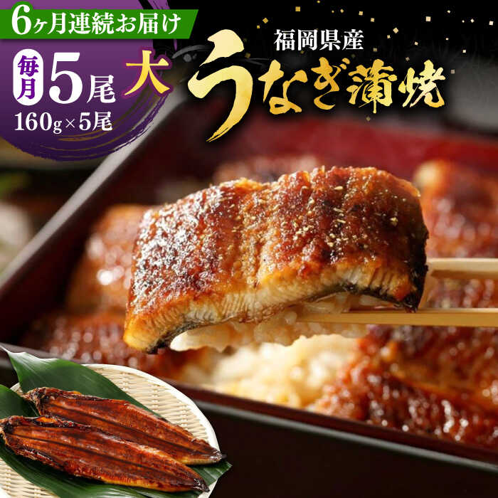 【ふるさと納税】【全6回定期便】福岡県産 うなぎ 蒲焼 大5尾　合計 800 g（1尾あたり 160g以上）《豊前市》【福岡養鰻】 国産 うなぎ 大[VAD018] 186000 186000円