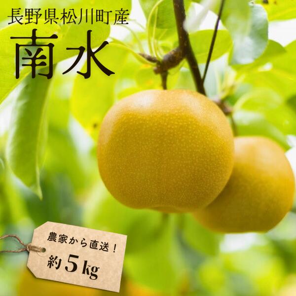 【ふるさと納税】梨 南水 約5kg（8～14玉）松川町産 贈答／9月下旬頃～配送予定 // 南信州産 長野県 和梨 なし ナシ 南水 農家直送 農家支援 KW06