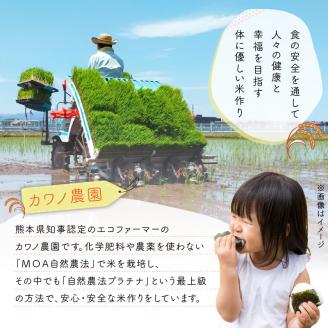 70-260_1　【定期便3回】カワノ農園　令和5年産米　無農薬栽培！MOA自然農法米「森のくまさん」白米10kg