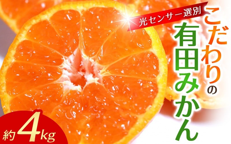 
                  みかん 約4kg＋250g(傷み補償分) ご家庭用 【11月～12月に順次発送】 光センサー選別で選りすぐったこだわりの有田みかん / みかん ミカン 蜜柑 フルーツ 果物 くだもの 柑橘 こだわりのみかん 完熟 有機肥料 化学肥料不使用 特産品 数量限定 12月発送 11月発送 産地直送 農家直送 和歌山県 【nuk148B_cho】
                