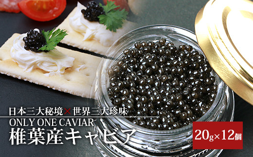 HEIKE CAVIAR 20ｇ×12箱 【合計240g】【世界三大珍味×日本三大秘境】［宮崎 椎葉 国産 ちょうざめ チョウザメ きゃびあ キャビア 魚卵 卵 クリーミー お酒 魚介 珍味 加工品 冷凍 高級 高級品 贅沢 贅沢品 お取り寄せ お取り寄せグルメ ディナー パーティー おつまみ グルメ ギフト 記念日 誕生日 プレゼント お祝い 贈り物 贈答 桐箱 希少］【SZ-114】