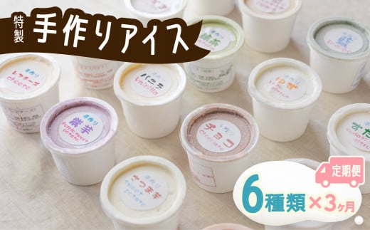 【定期便連続３か月】海陽町特製アイス ユニークな味６種類セット！  定期便 3か月 連続 アイスクリーム 6種類 海陽町特製 詰め合わせ アイス バニラアイス 抹茶 セット 手作り 母の日 