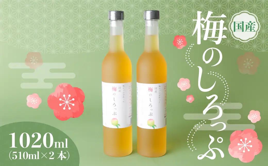 梅 シロップ 国産 梅のしろっぷ 2本セット
