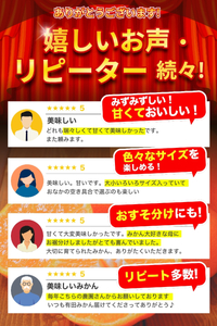 【2024年11月発送予約分】＼光センサー選別／ 【農家直送】【家庭用】こだわりの有田みかん 約4kg 先行予約 有機質肥料100% サイズ混合 【11月発送】みかん ミカン 有田みかん 温州みかん 