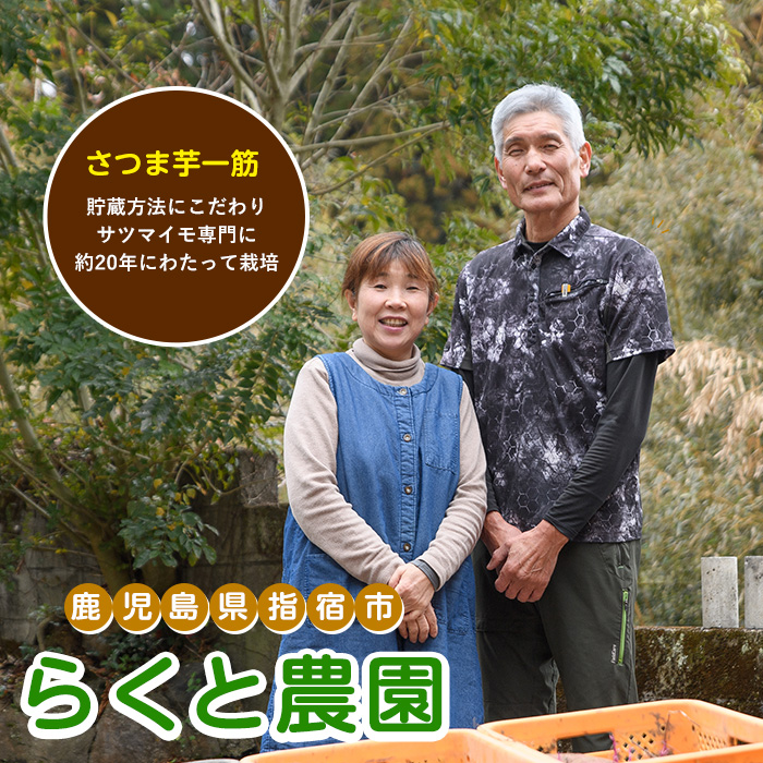 【2026年11月上旬以降～順次発送】らくと農園の栗かぐや約5kg(らくと農園/IB084-003) さつまいも おやつ さつま芋 焼芋 やきいも 焼きいも スイーツ