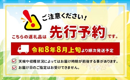 【2026年先行予約】訳あり シナノレッド 約 2.5kg ｜ 外川果樹園 リンゴ りんご 林檎 果物 フルーツ 果実 果汁 シナノレッド しなのれっど わけあり 訳アリ 長野県 松川村