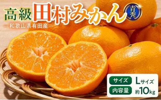 
                  【2026年先行予約】「高級 田村みかん」 青秀 約10kg Lサイズ 和歌山県有田産 有田みかん【ミカン 蜜柑 柑橘 温州みかん 和歌山産 有田みかん】_U6246
                