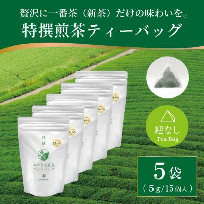 ふるさと納税 日向市 特撰みやざき煎茶ティーバッグ　5袋