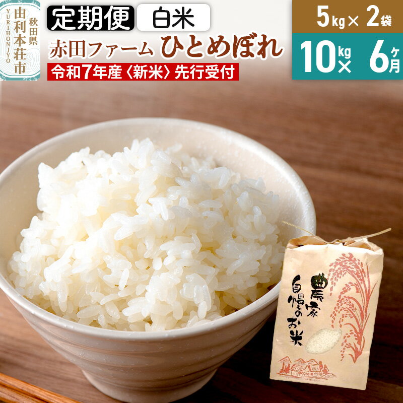 【ふるさと納税】《6ヶ月定期便》《新米予約》令和7年産 【 白米 】 秋田県産ひとめぼれ10kg（5kg×2袋）