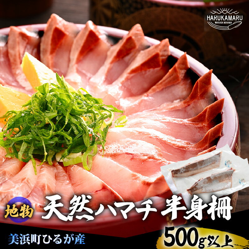 【ふるさと納税】【先行予約】天然！地物！ひるがのハマチ 柵2本 刺身用【合計500g以上】【2025年11月以降順次発送予定】魚 冷凍 真空パック はまち ハマチ ぶり ブリ 鰤 出世魚 しゃぶしゃぶ 照り焼き 塩焼き 煮付け 生食 刺身 海鮮丼 日向 福井 美浜 海鮮 旬 プレゼント