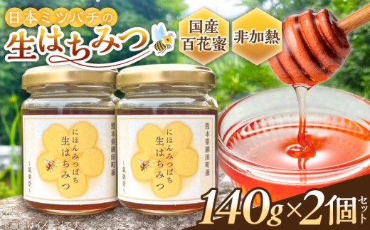 氣楽空　宇土市網田(おうだ)地区で採れた日本ミツバチの蜂蜜140g×2個セット　 U149-0003