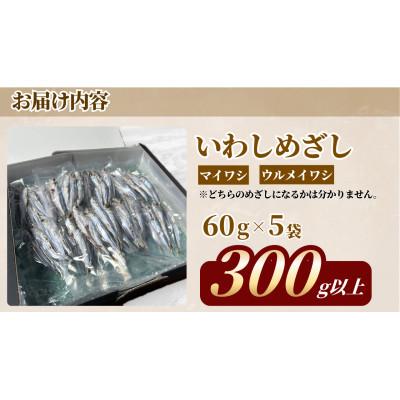 ふるさと納税 宮津市 いわしめざし　60g×5袋　マイワシ　ウルメイワシ |  | 02