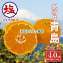 【ふるさと納税】 海塩を与えて栽培した 青島みかん 予約受付 12月下旬 順次発送 訳あり 青島 みかん 計 4kg 傷み補償分 200g 含む 蜜柑 柑橘 西浦 みかん オレンジ 果物 フルーツ 沼津市 静岡県