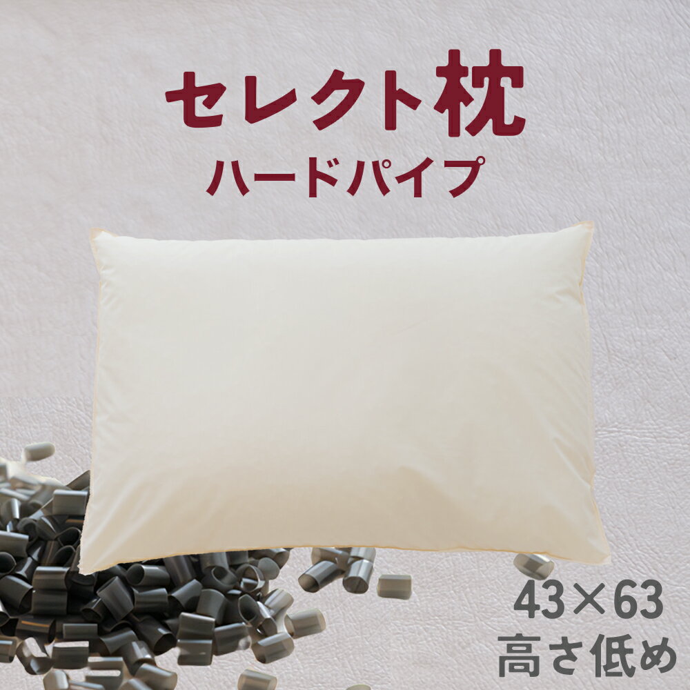 【ふるさと納税】セレクト枕 ハードパイプ 標準タイプ 中央くぼみタイプ 高さ低め (43×63cm)