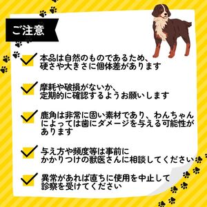 シカツノ Sサイズ 鹿の角 鹿角 犬用おもちゃ 犬おもちゃ 犬用品 犬しつけ 犬国産
