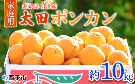 【先行予約】＜太田ポンカン 家庭用 約10kg＞ 果物 くだもの フルーツ みかん ミカン 柑橘 太田ぽんかん おおたぽんかん オオタポンカン ぽんかん 訳あり ご自宅用 特産品 株式会社笑丸 愛媛県 西予市【常温】『2027年1月中旬～1月下旬迄に順次出荷予定』AAN0055