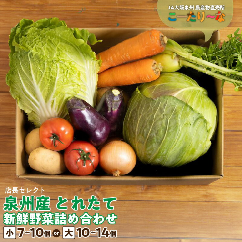【ふるさと納税】直売所 店長セレクト 季節の野菜セット 小 7個 〜 10個 8kg以内 / 大10個 ～ 14個 15kg以内 JA大阪泉州 農産物直売所 こーたり〜な とれたて 新鮮 野菜 詰め合わせ セット 野菜セット 泉佐野市産 泉州産 国産 お取り寄せ 大阪府 泉佐野市 送料無料