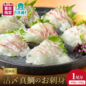 【冷蔵】【日向灘どれ】延岡産活〆真鯛のお刺身半身ロインパック×2（1尾分）400～500g N019-YA5508