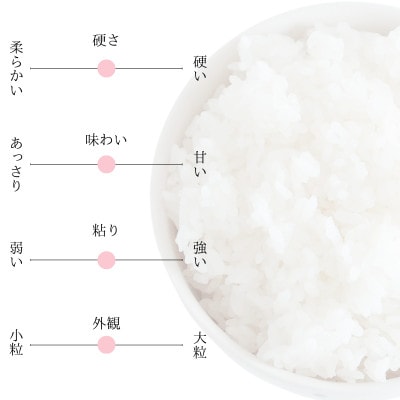 【ふるさと納税】令和7年産 愛媛県産 ヒノヒカリ 10kg 【V003280K10】【1682405】