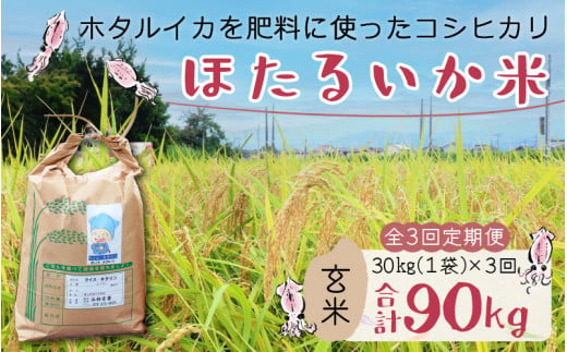 
【訳あり】ほたるいか米（玄米30kg）×3回 計90kg【3ヶ月定期便】
