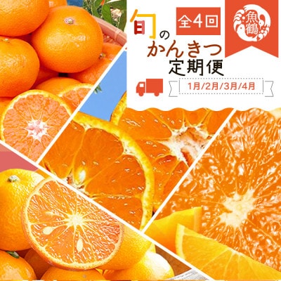 【発送月固定定期便】紀州和歌山産旬のご家庭用柑橘セット(みかん・不知火・せとか・清見)全4回【配送不可地域：離島】【4059952】