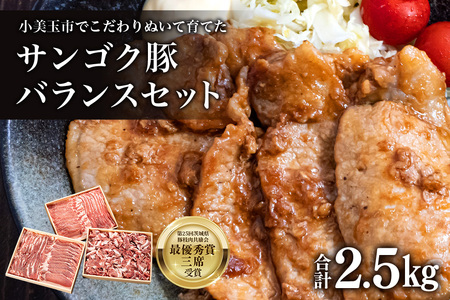 サンゴク豚（バランスセット） 合計2.5kg しゃぶしゃぶ 焼き肉 豚肉 豚バラ肉 ロース 小分け 真空パック しゃぶしゃぶ肉 焼肉用 ブタ肉 国産 茨城県産 ギフト プレゼント 高級部位 2-B