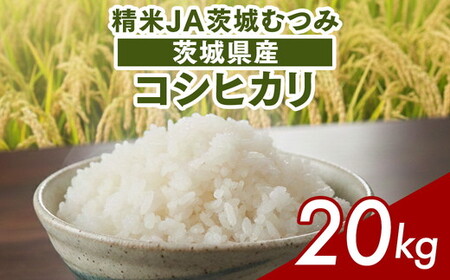 【令和7年産】茨城県産コシヒカリ20kg（10kg×2袋）精米JA茨城むつみ _CL06 ※2025年10月下旬頃より順次発送予定