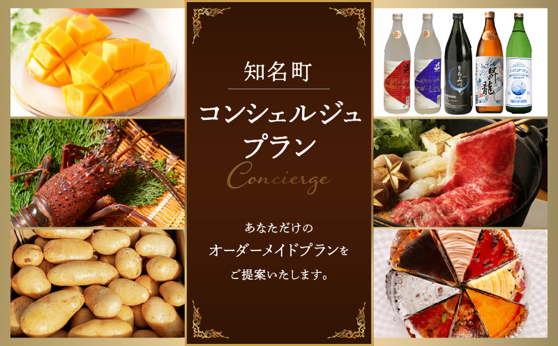 コンシェルジュプラン　寄付額300万円コース