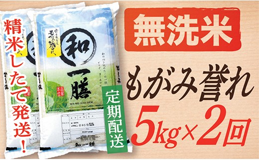 【定期便】【無洗米】 令和7年産 もがみ誉れ 5kg (5kg×1)  2回配送