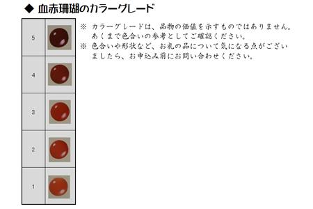 [027309]珊瑚職人館の珊瑚の原木・拝見・置物20